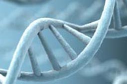 短信测试网站免费